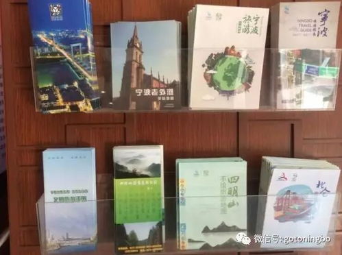 宁波市旅游信息咨询服务中心 以专业服务为笔，绘就文明城市五连冠靓丽风景线